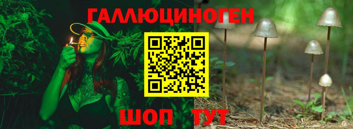 Учалы  закладка  Вход с VPN  Псилоцибиновые грибы GOLDEN TEACHER 